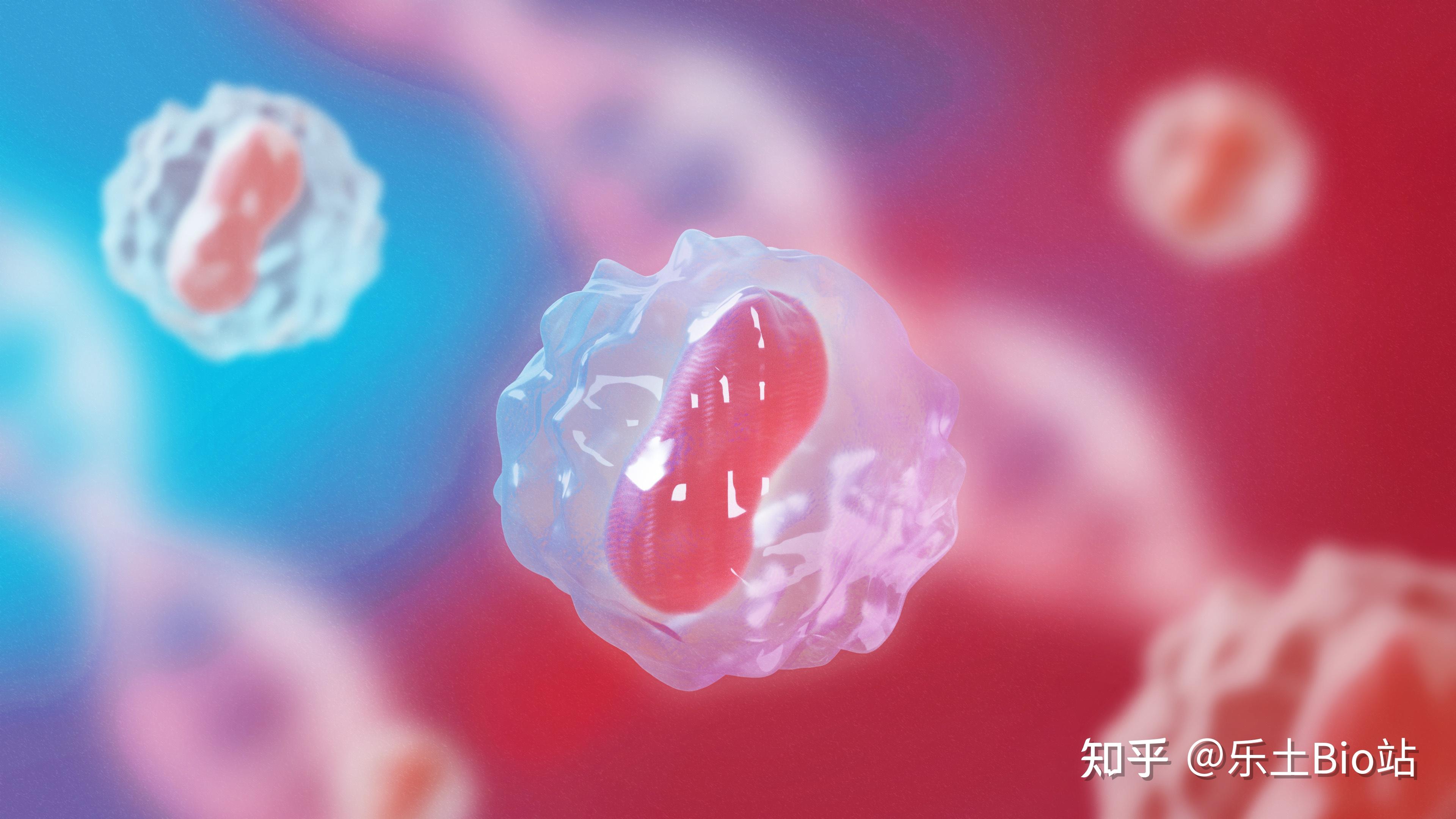 卵巢早衰等于被判生育死刑干细胞圆母亲梦