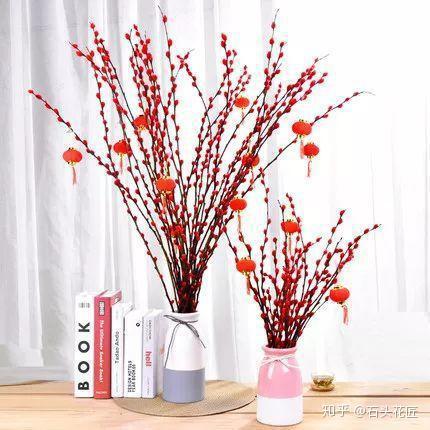 家养银柳 越来越有 年春节 很火 的3种花 你知道吗 知乎