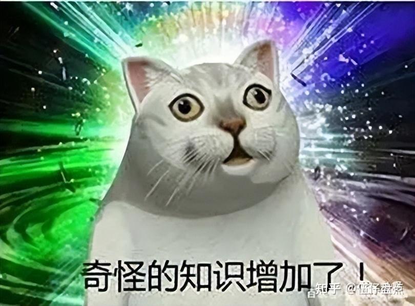 2023年烂梗大盘点：每一个都能给你看出疙瘩来！ - 知乎