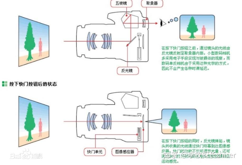 反光是指相机内一块平面反光镜将两个光路分开:取景时反光镜落下,将