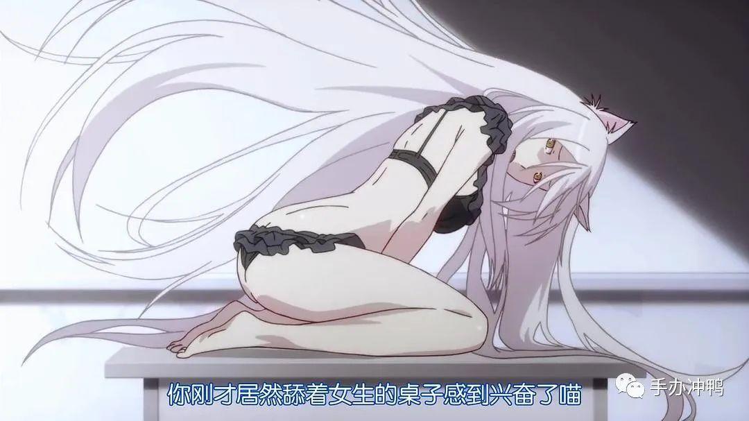 67uc《猫物语》黑羽川&羽川翼:双倍的欧派,双倍的快乐