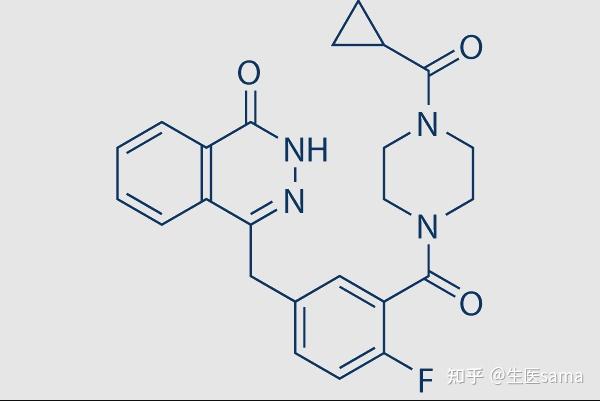 恒瑞parpi艾瑞颐背后的科学家