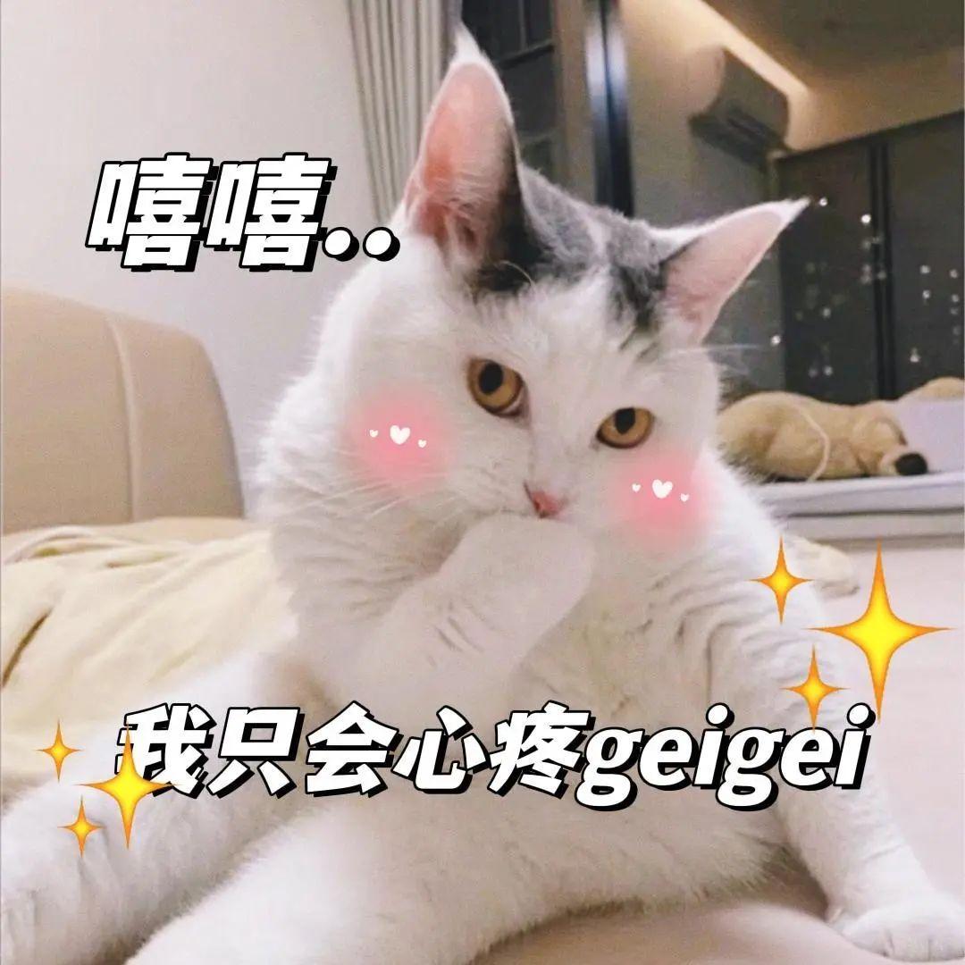 骚猫|可爱|涩涩（色色）|情侣|发牢骚表情包 - 知乎