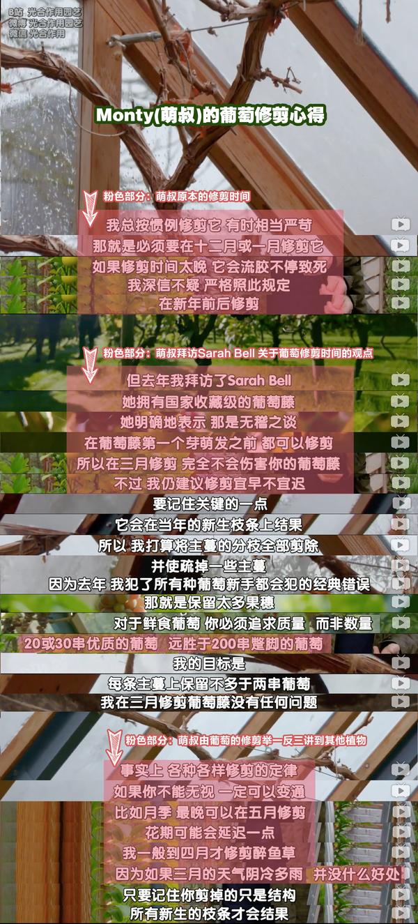 种花人看《BBC园艺世界》图解知识点,萌叔为啥要砍树?_bbc园艺世界