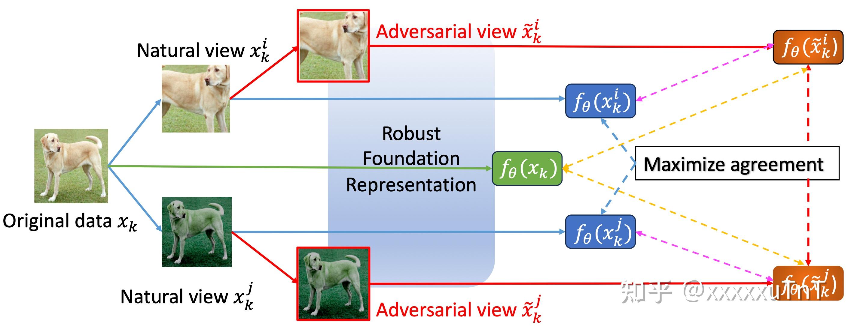 [NeurIPS'23 Spotlight and Poster] 2篇对抗对比学习 (Adversarial Contrastive ...