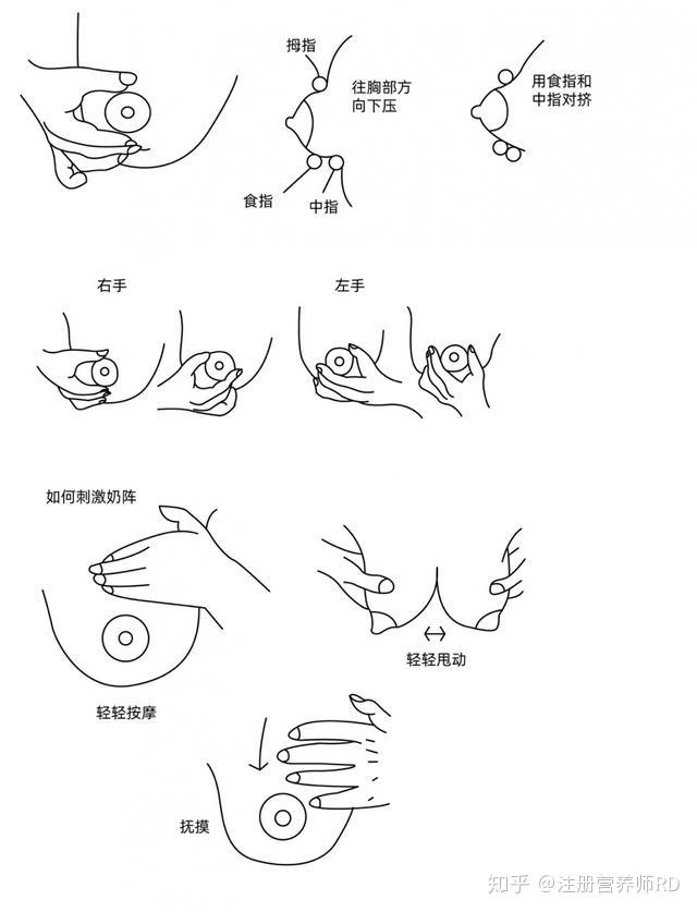 解决宝宝乳头混淆抗拒乳头的实用母乳喂养指导