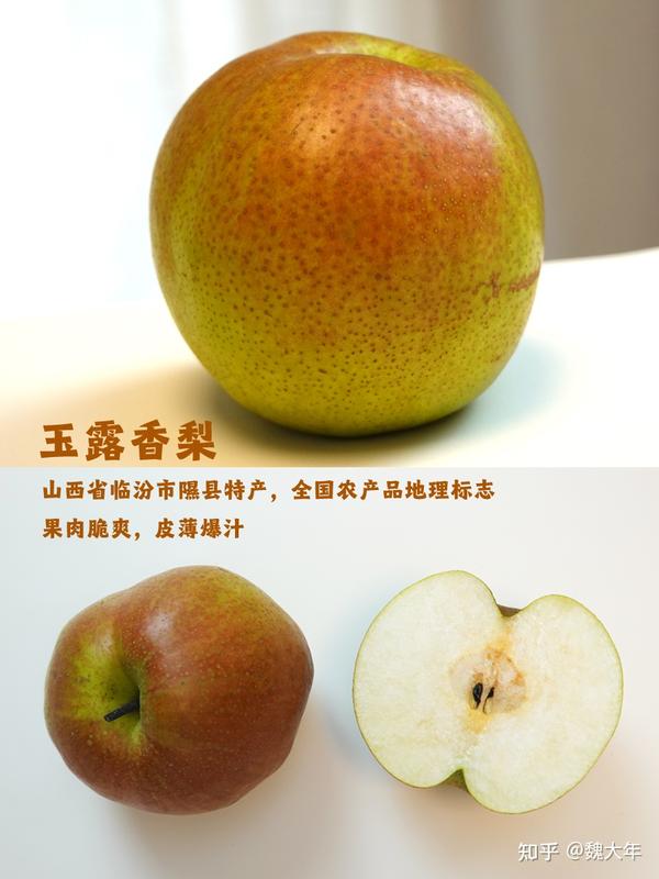 梨合集丨7个不同产地的梨测评(口感、风味、吃法) - 知乎