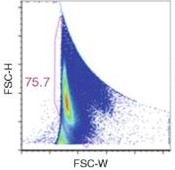 如何正确选择流式参数A，H，W - 知乎