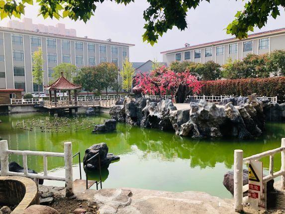 惊艳!山西霍州阳光绿洲生态园,湖心亭有意境