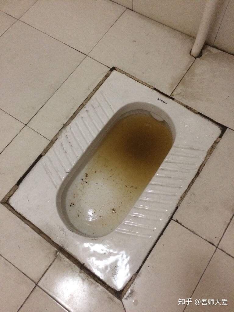 厕所堵出来的管理问题