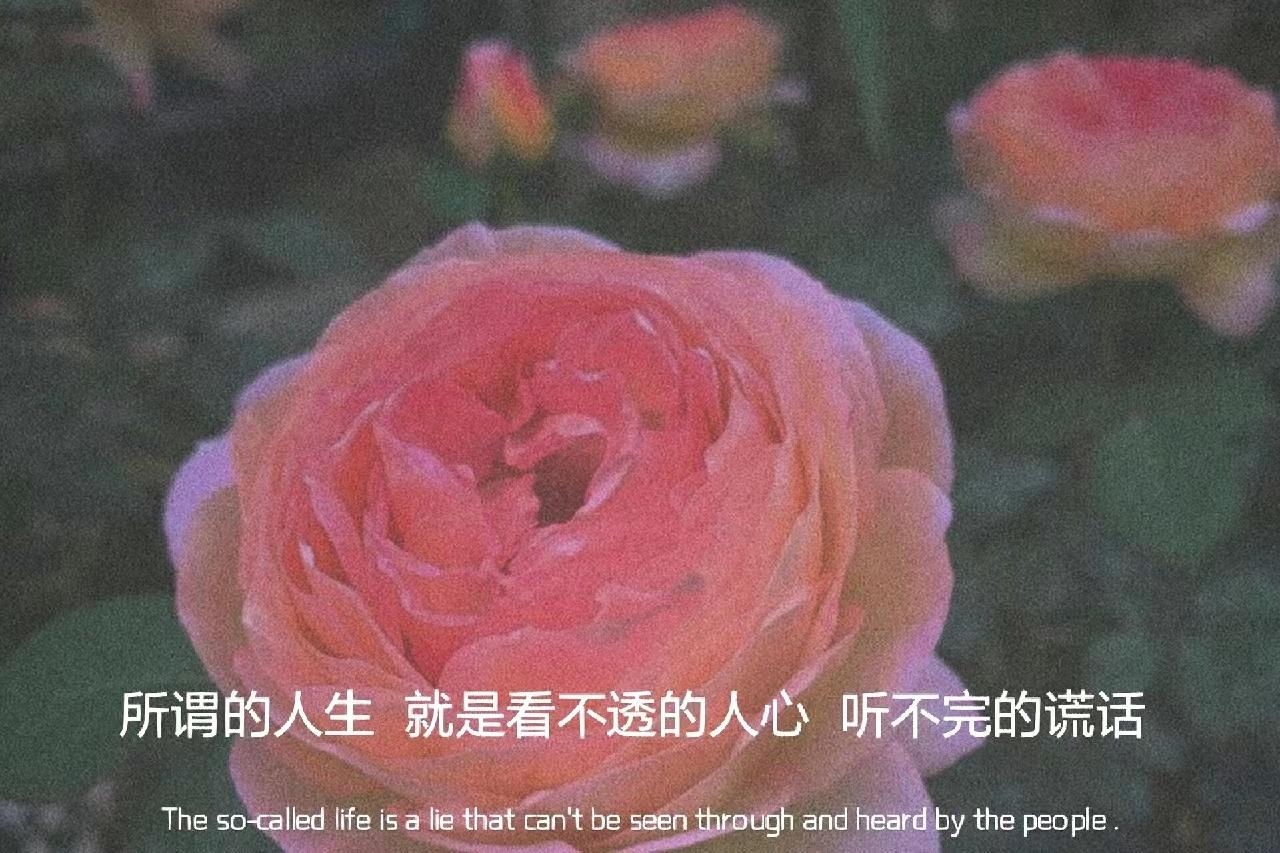 文案|别提从前了 只有心酸 - 知乎