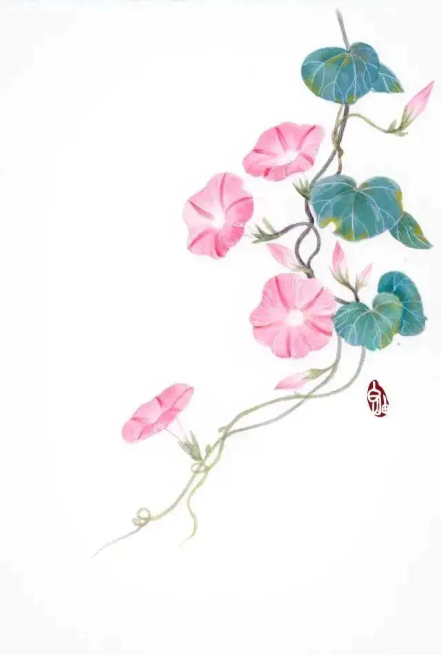 春暖花开,跟白岫老师一起学画花