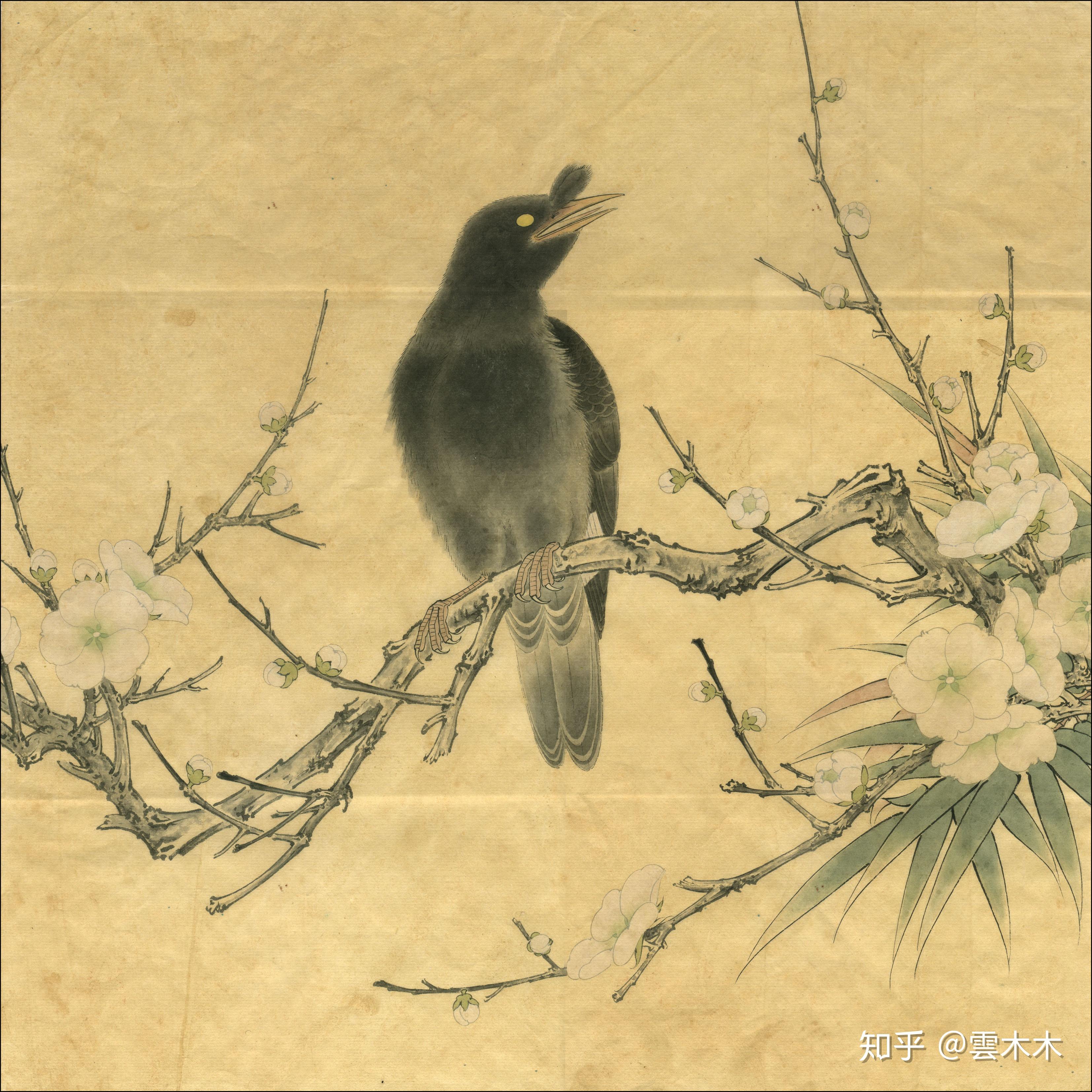 宋小品梅花八哥尺寸3529cm国画工笔绘画步骤图