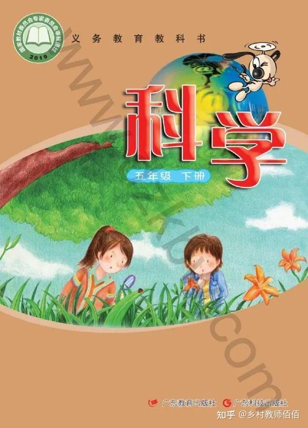 粤教粤科版科学五年级下教案表格式精品