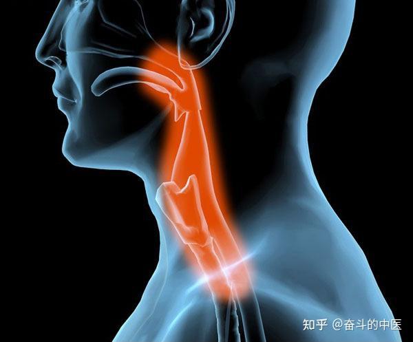 地坛医院中医治疗肿瘤第一人号贩子联系方式「找对人就有号」的简单介绍 地坛医院中医治疗肿瘤第一人号贩子联系方式「找对人就有号」的简单介绍