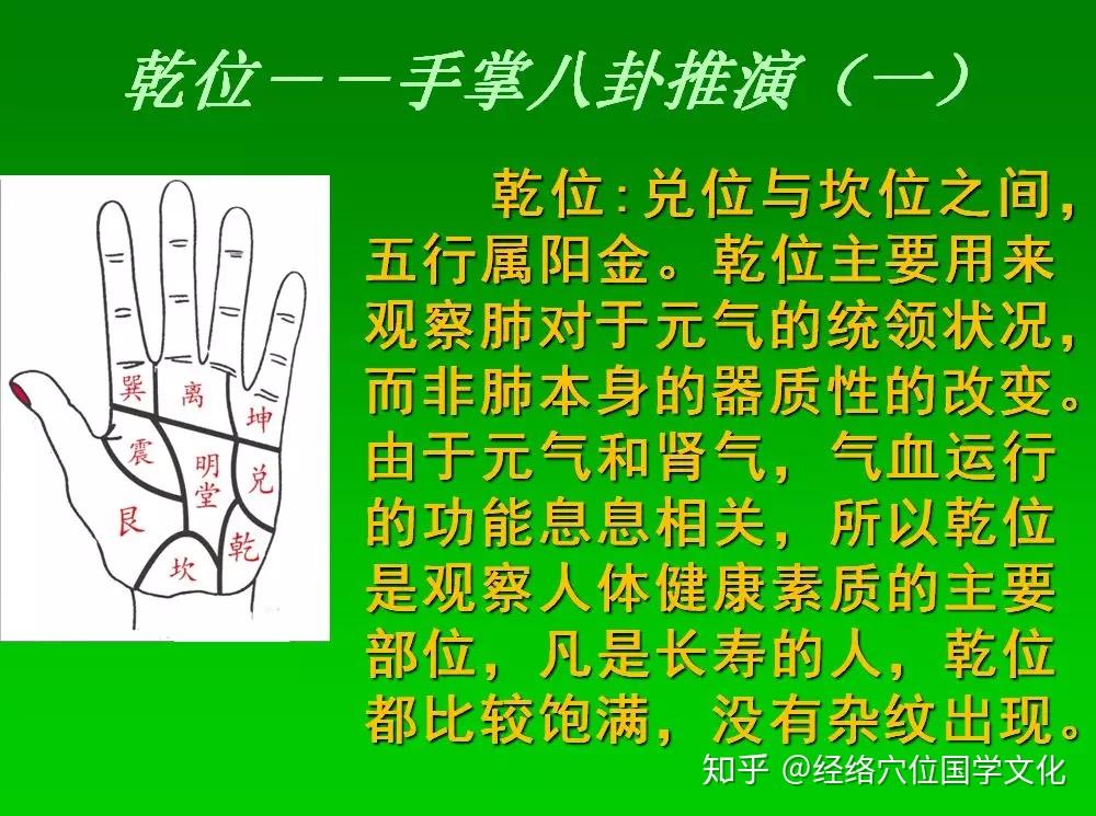 《七天學會手診》八卦掌,疾病在手掌的對應分區 - 知乎