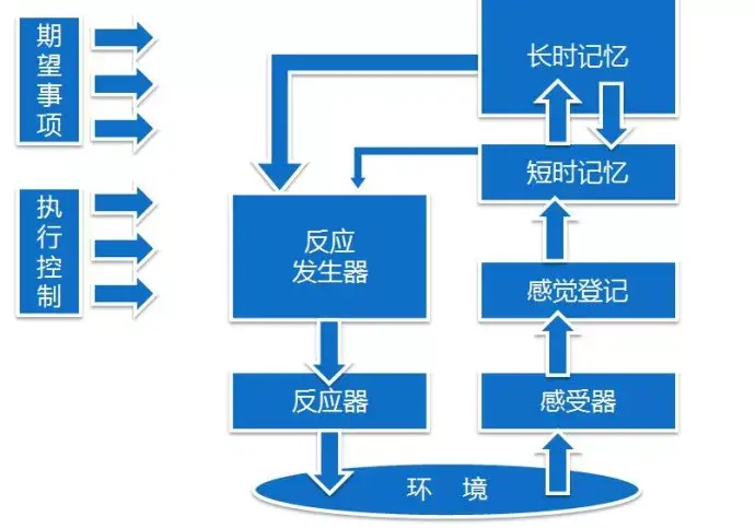 执行控制系统主要是指在信息加工过程中决定哪些信息从感觉记忆进人短