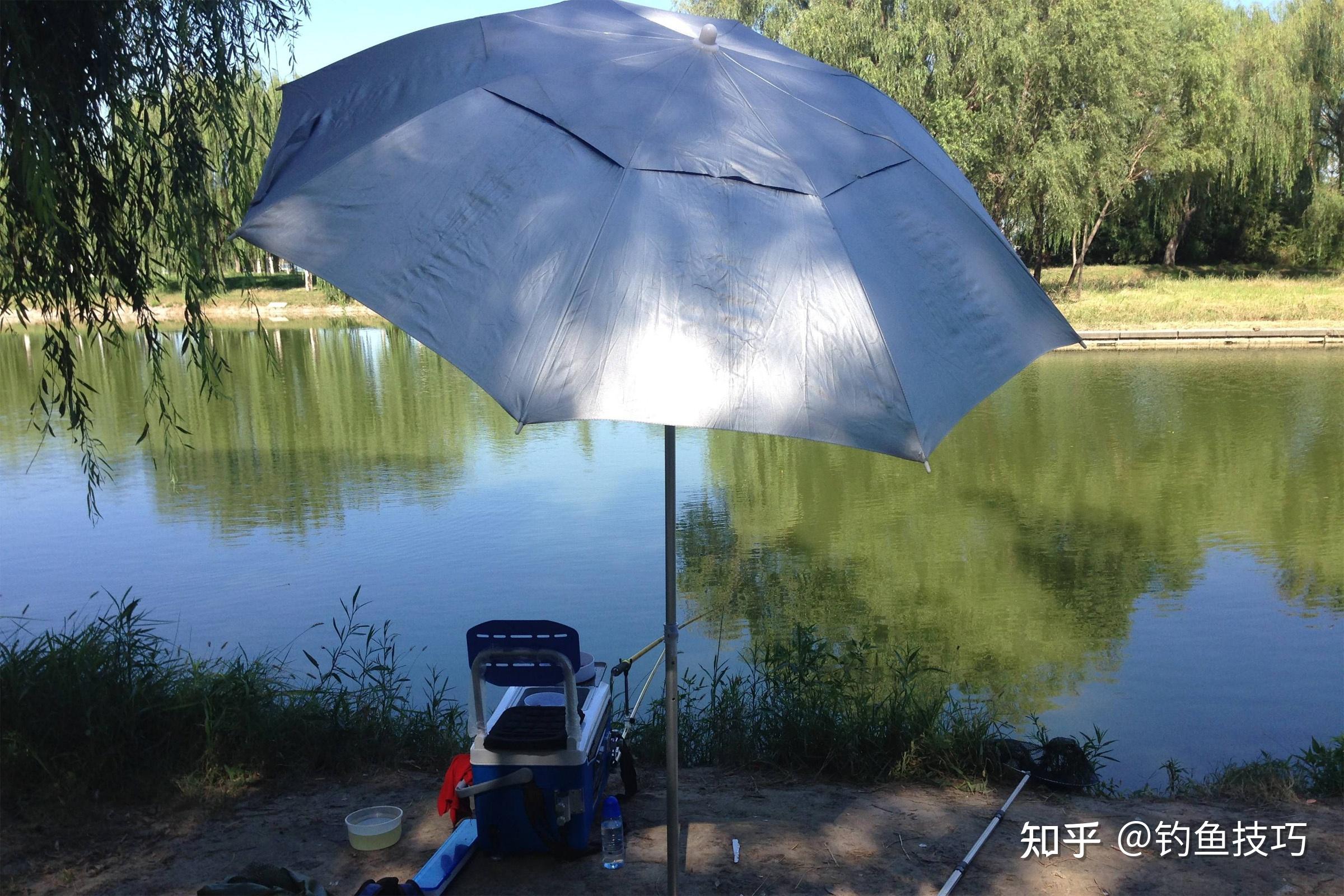 什么是黑坑和野钓 v2-0502207b7e270eebe4de527722b5b0b3_r.jpg