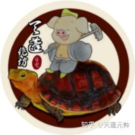 那些漂亮的龟苗长大后变丑的乌龟品种 - 知乎