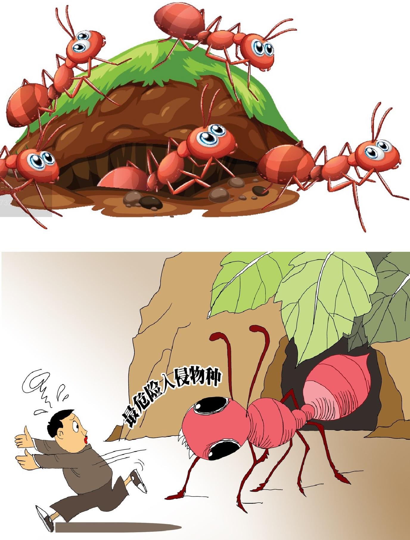 中国打响反入侵狙击战! - 知乎