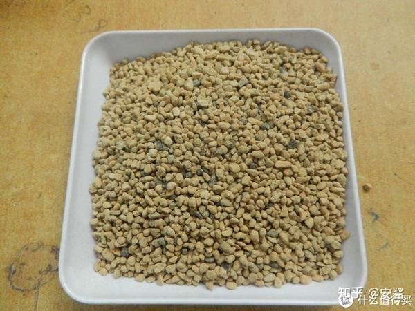 从零开始种植01 基质 知乎