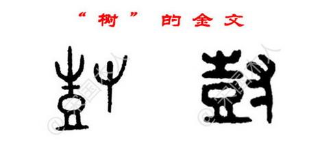 金文字形基本延续甲骨文,"豆"上的"木"发生简化,只保留了上半部分