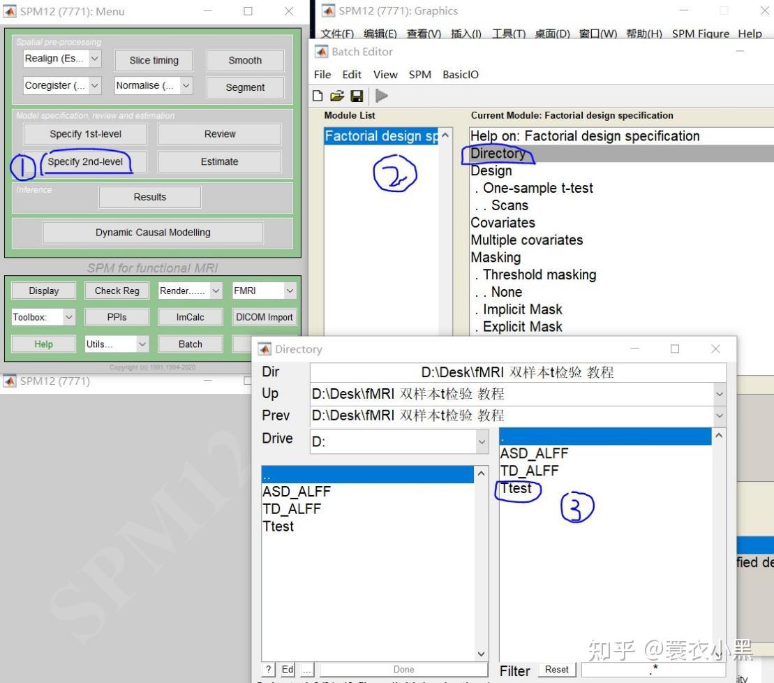  spm12 fmri t 