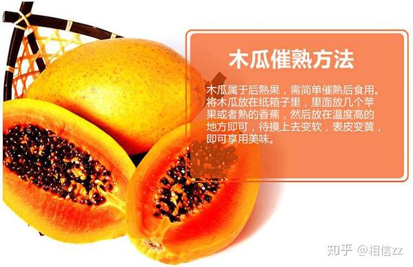 二月 国产木瓜,产地集中在广东,海南,广西,云南,福建,台湾等省(区)