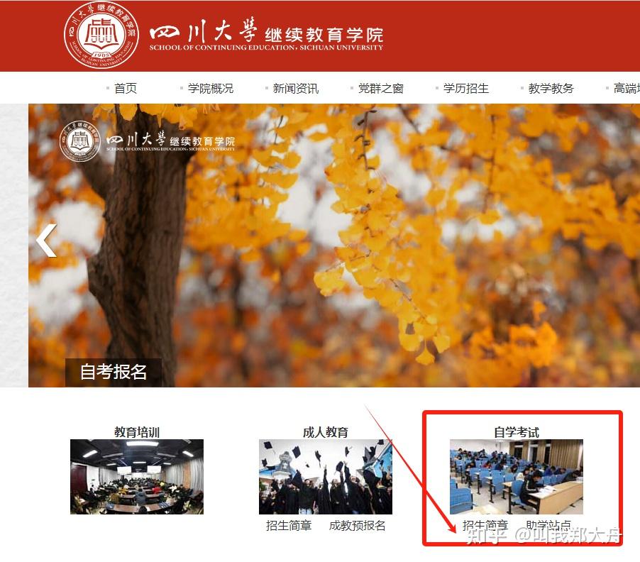 四川农业大学教务处图片