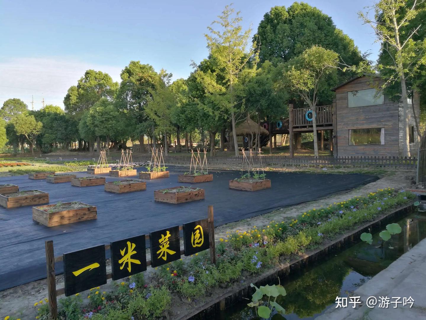 上海市闵行区十大著名旅游景点---8、多利农庄 - 知乎