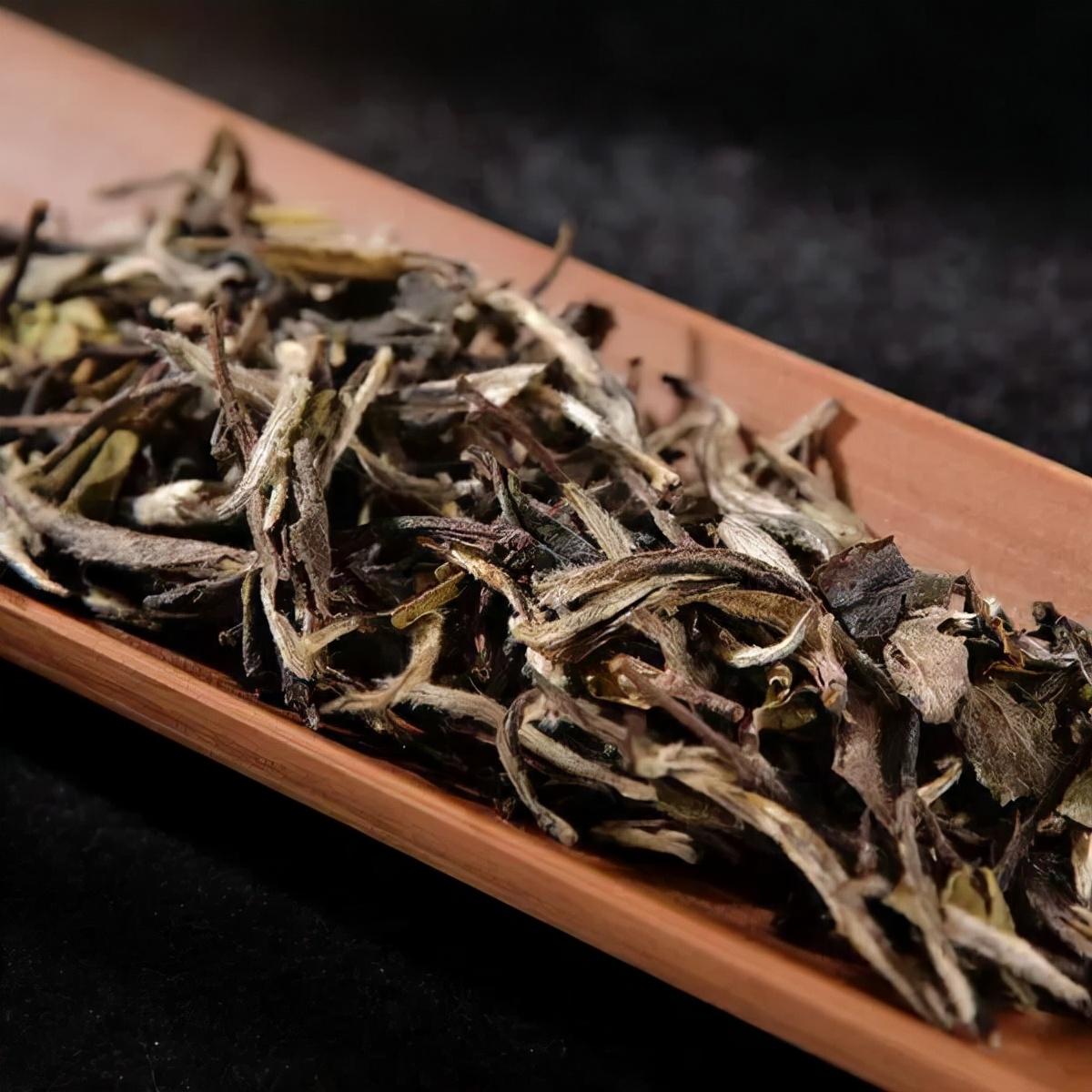 白茶 | 白牡丹 -- 茶中花魁 宛如蓓蕾初放的白牡丹