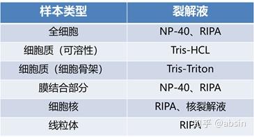 Western Blot进阶技巧第一弹——从了解目的蛋白开始 - 知乎