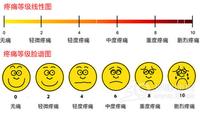 筋膜