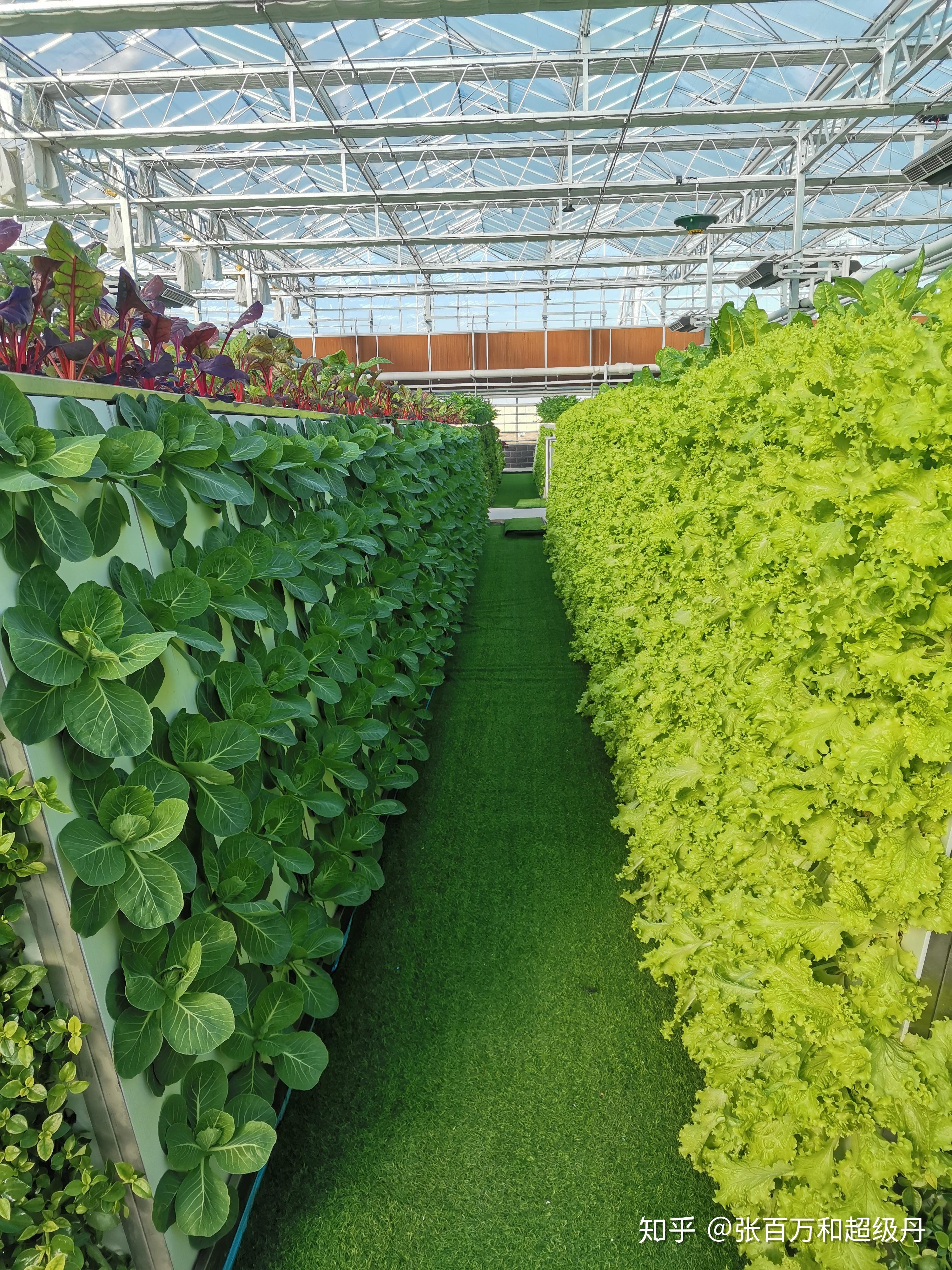 全域空间气雾培种植技术