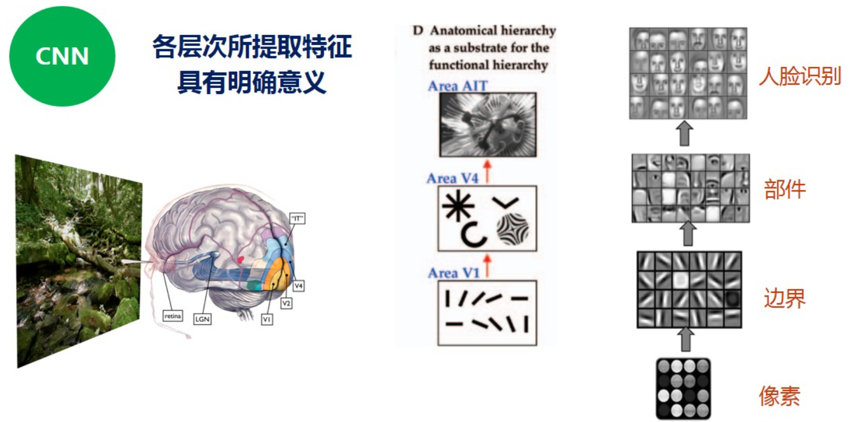 convolution neural图片