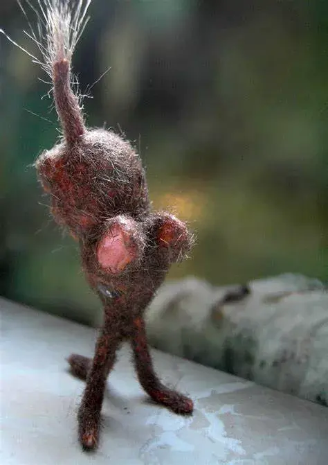 地球上最魔幻的鼻行动物,真的灭绝于美军的核试验吗? - 知乎