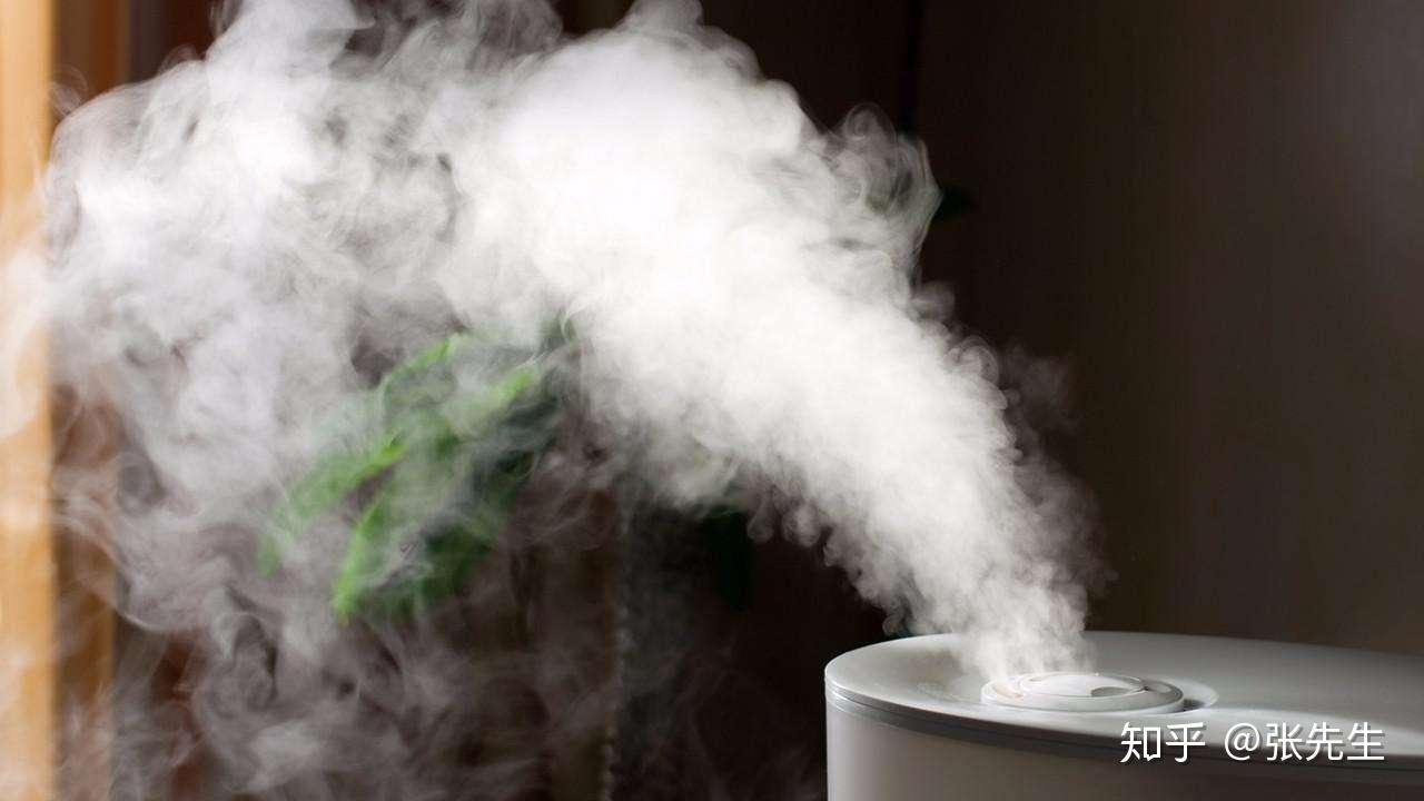 加湿器分有水雾的,和没有水雾的.