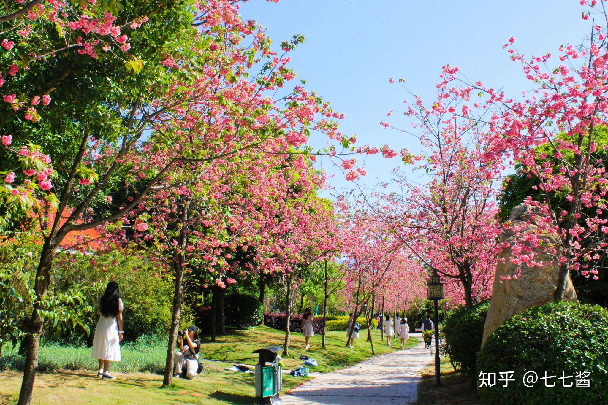 红河学院 风景图片