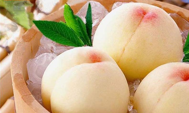 好味道桃子的美味从谜面中可以窥得一二桃子鲜美以蜜桃为最果色艳丽