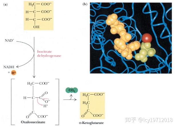 v2-05a51c655813d282785bf8a8a5f09d6b_r.jpg