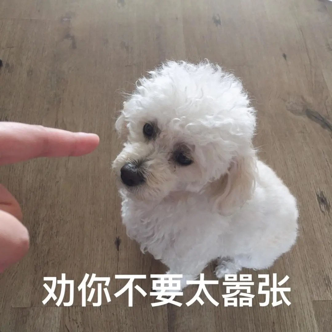 人与人之间的事儿没必要跟宠物较劲