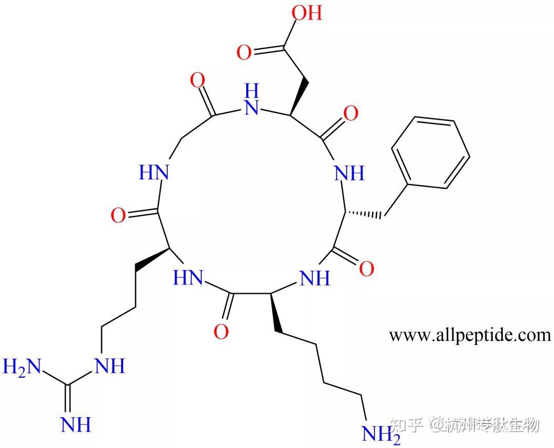 结构图如下:c(rgdfk)是一个五元环肽,由精氨酸