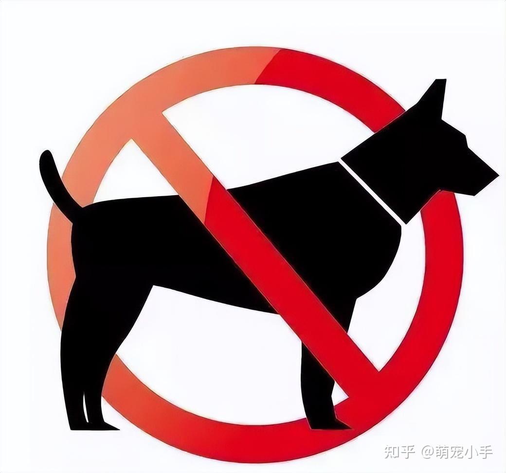 一张图教你了解35种禁养犬，发现可电话举报！青岛养犬管理条例10月起实施… - 青岛新闻网