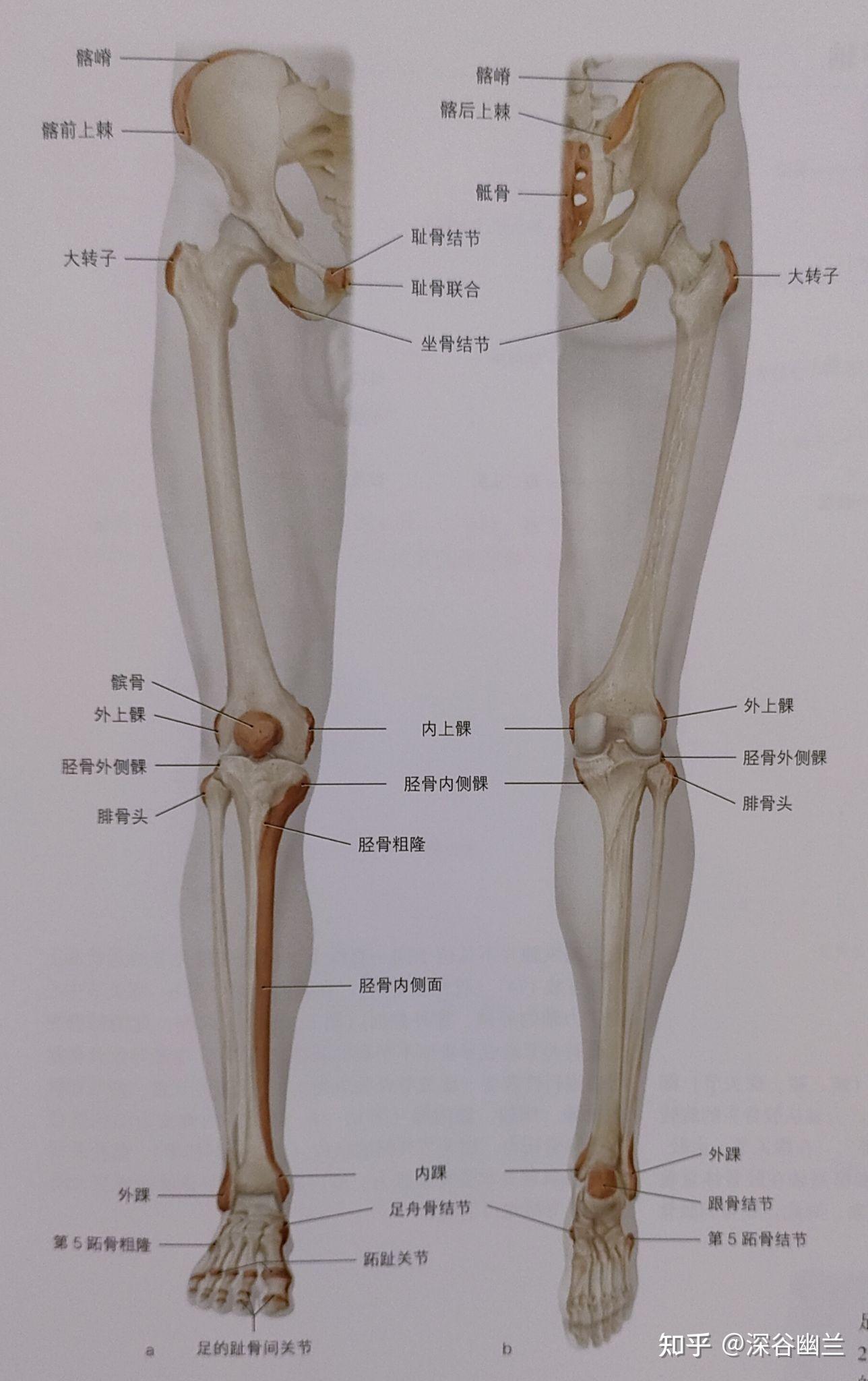 解剖列车螺旋线图片图片