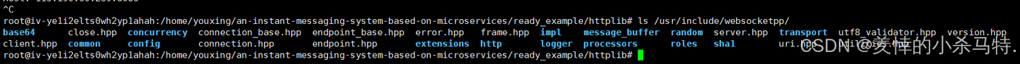 C++ 网络通信实践：cpp-httplib 与 websocketpp 入门指南，轻松实现 HTTP 与 WebSocket 交互 - 知乎