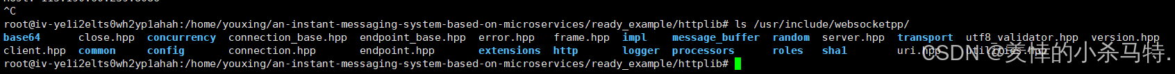 C++ 网络通信实践：cpp-httplib 与 websocketpp 入门指南，轻松实现 HTTP 与 WebSocket 交互 - 知乎