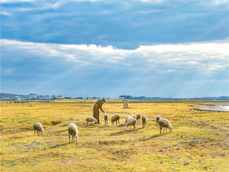 什么时间来呼伦贝尔更合适?一起来看看每个月份里面的
