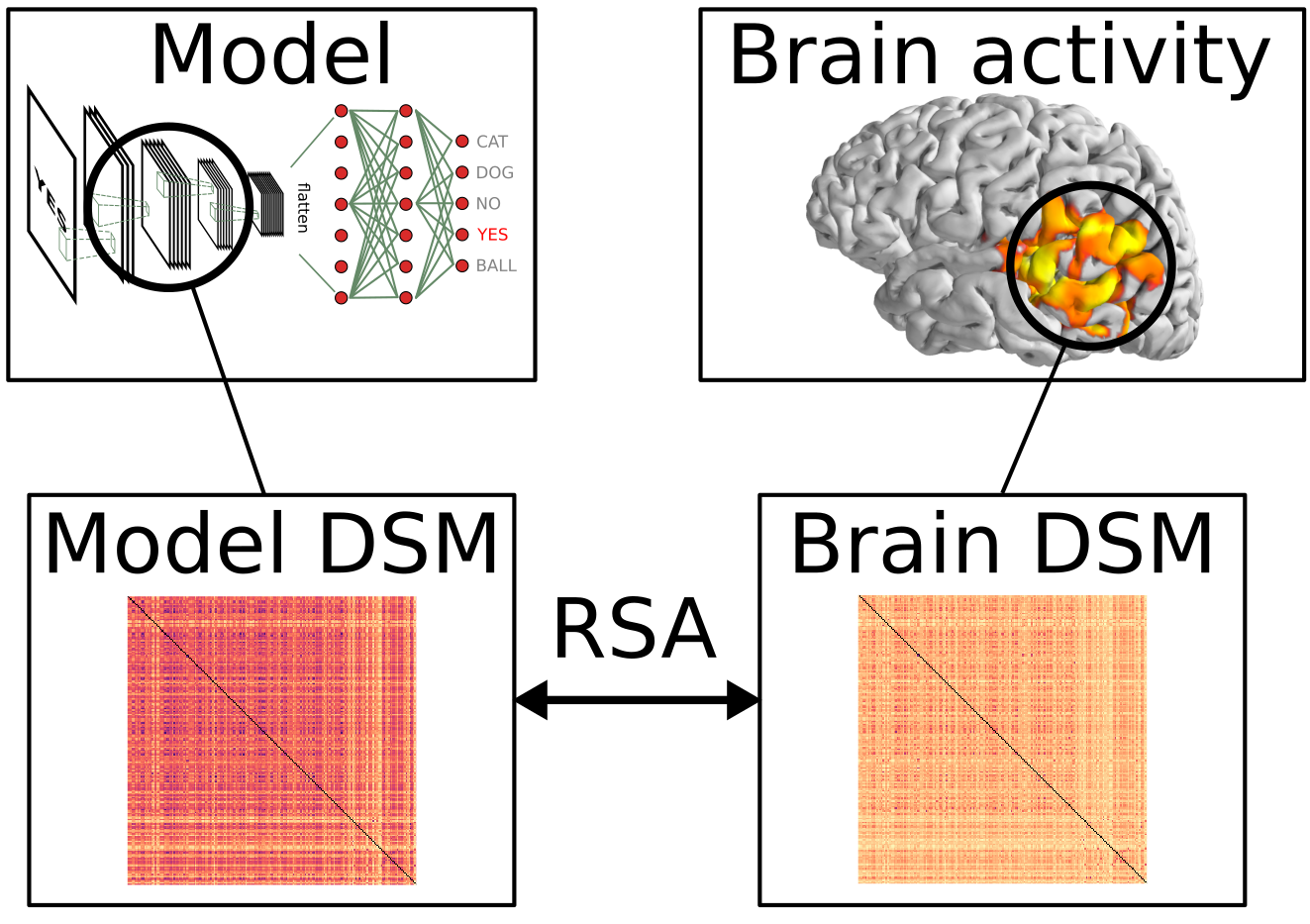 基于Python的表征相似性分析（RSA）工具包介绍 - 知乎
