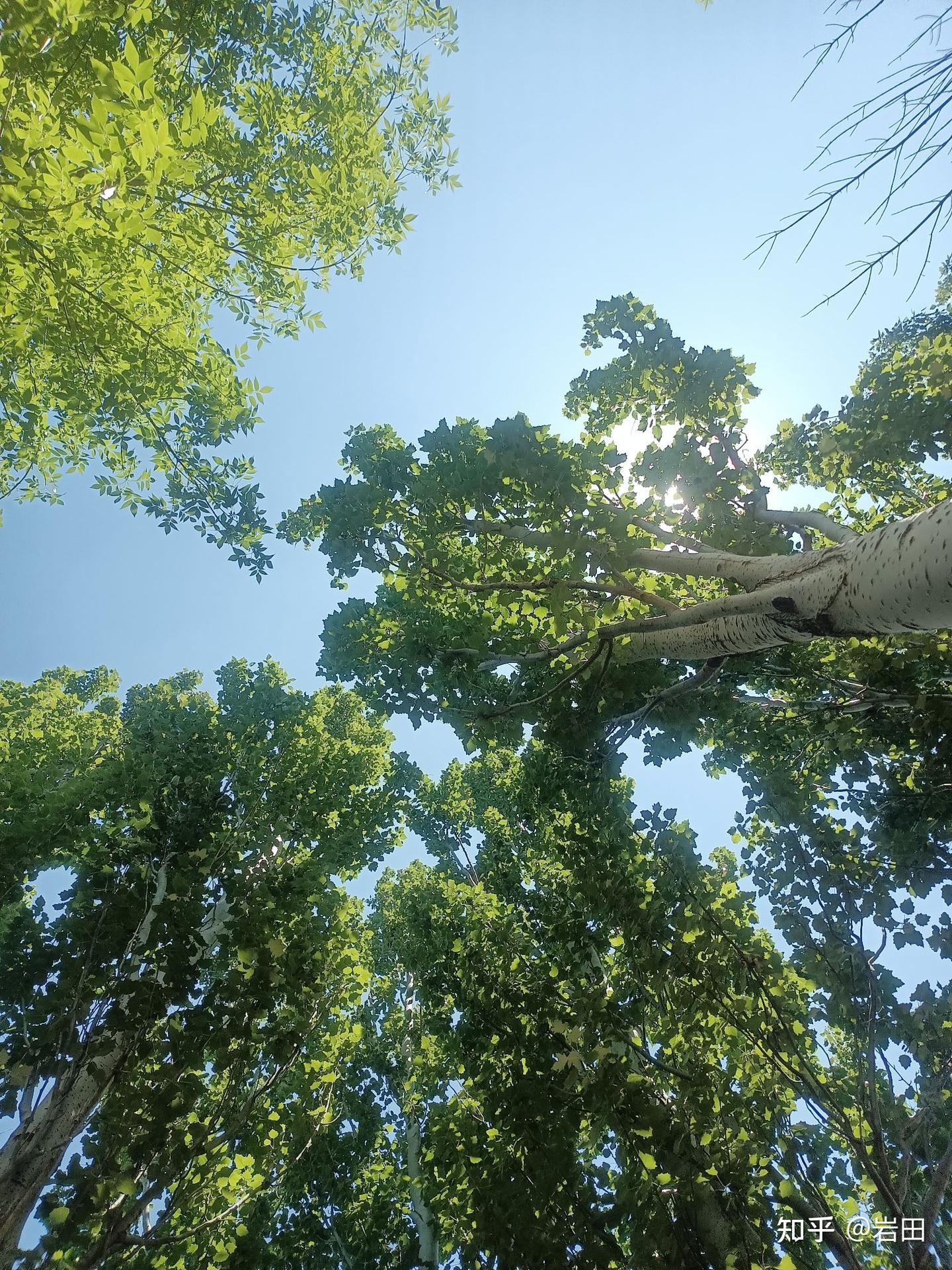 当和讨厌的同事一起共事时…… - 知乎