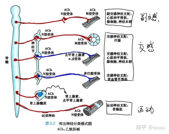 NA药理图片